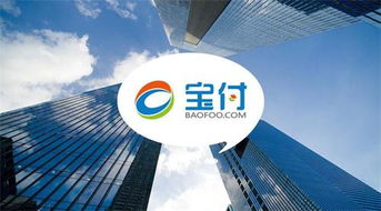 寶付支付 深耕通信電商領域，攜手行業(yè)巨頭共繪新藍圖